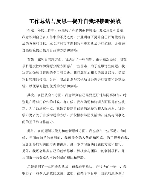 工作总结与反思—提升自我迎接新挑战