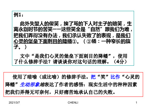 现代文阅读练习PPT课件