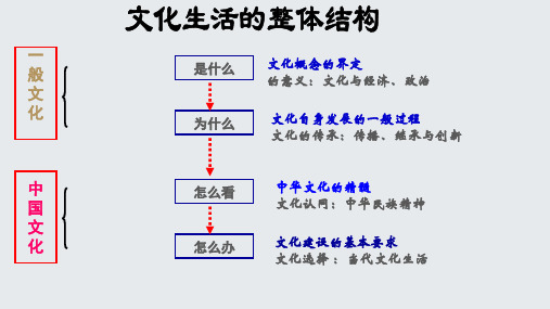 文化生活体味文化精品PPT课件