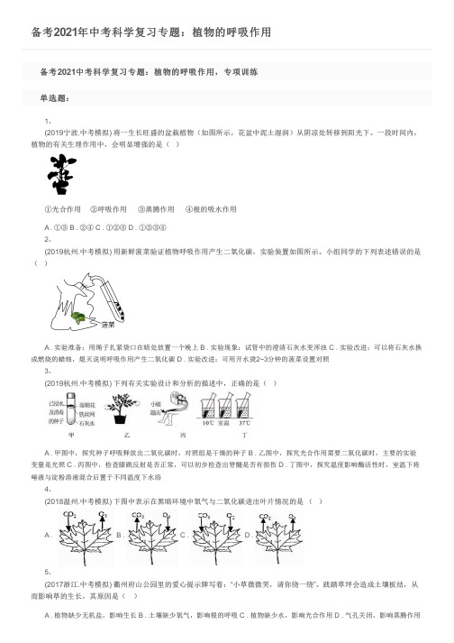 备考2021年中考科学复习专题：植物的呼吸作用