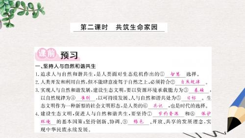 九年级道德与法治上册第三单元文明与家园第六课建设美丽中国第2框共筑生命家园习题课件新人教版