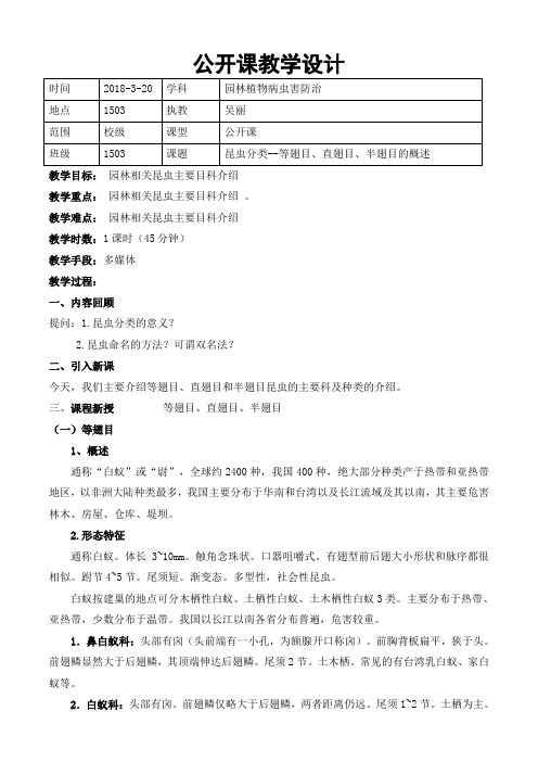 昆虫分类教学设计