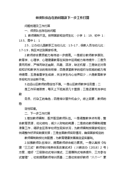 师资队伍存在的问题及下一步工作打算