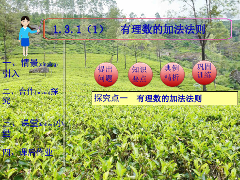 七年级数学上册第一章有理数1.3有理数的加减法1.3.1有理数的加法第1课时有理数的加法法则教学1