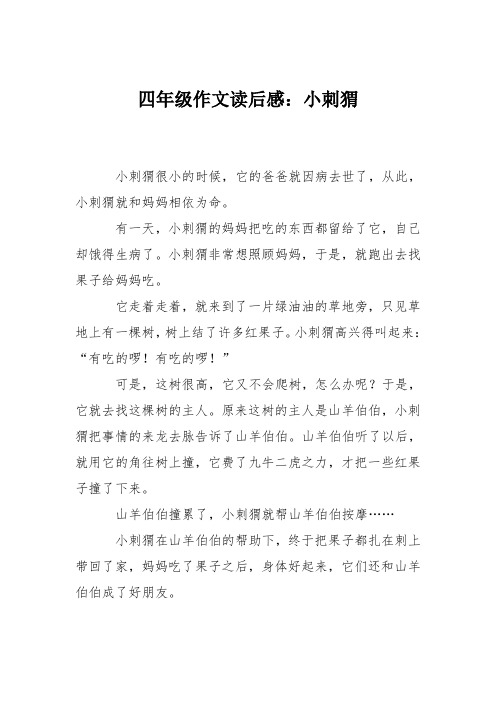 四年级作文读后感:小刺猬
