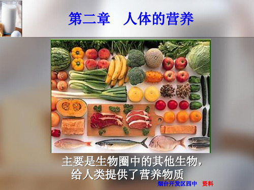 人教版七年级生物下4.2-1 食物中的营养物质教学课件 (共13张PPT)