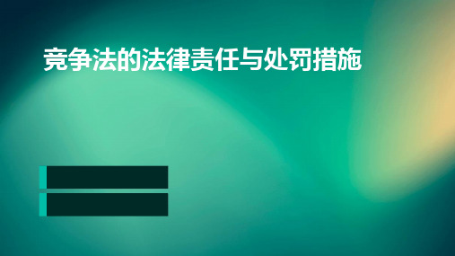 竞争法的法律责任与处罚措施