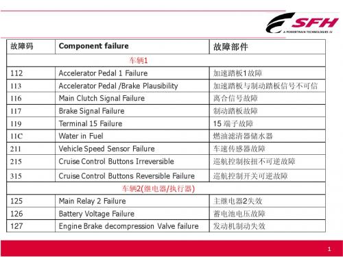 C9故障码的分析(汉化)