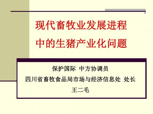 2009年四川省生猪生产监测预警工作总结要点