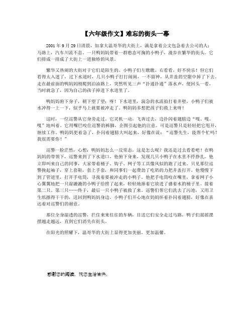 【六年级作文】难忘的街头一幕