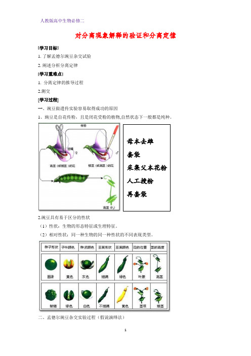 高中生物必修2学案4：1.1.2 对分离现象解释的验证和分离定律