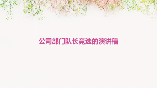 公司部门队长竞选的演讲稿PPT