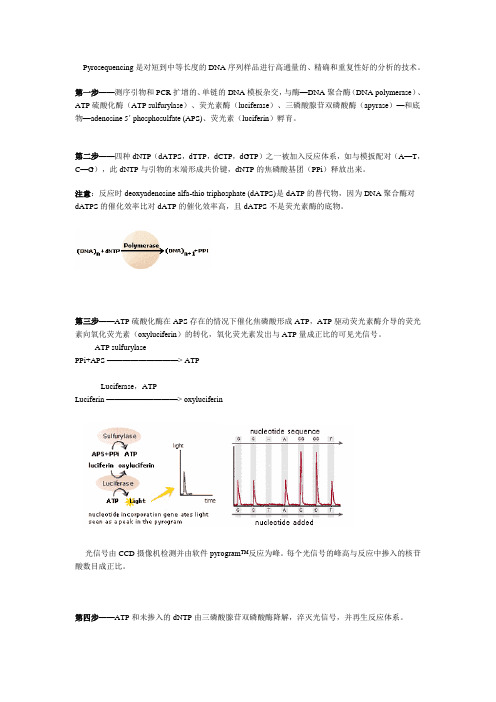 焦磷酸测序