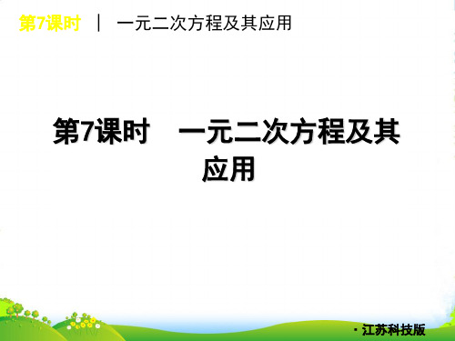 中考数学复习方案 第7课时 一元二次方程及其应用课件 苏科