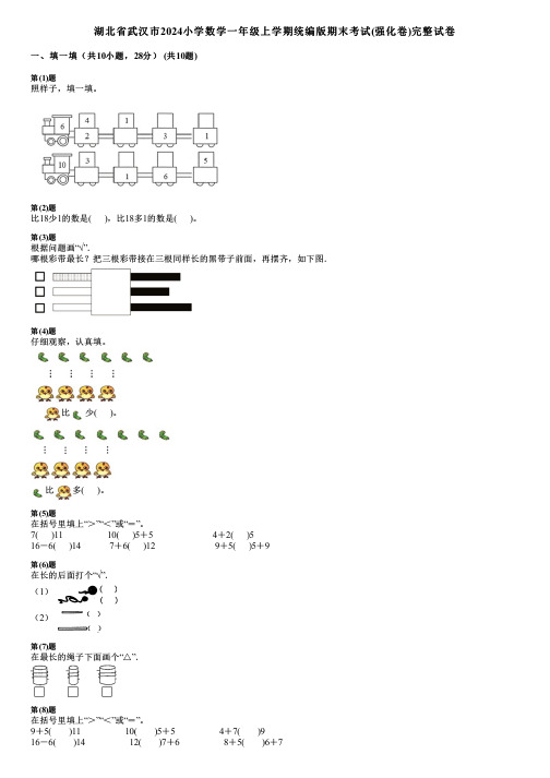 湖北省武汉市2024小学数学一年级上学期统编版期末考试(强化卷)完整试卷