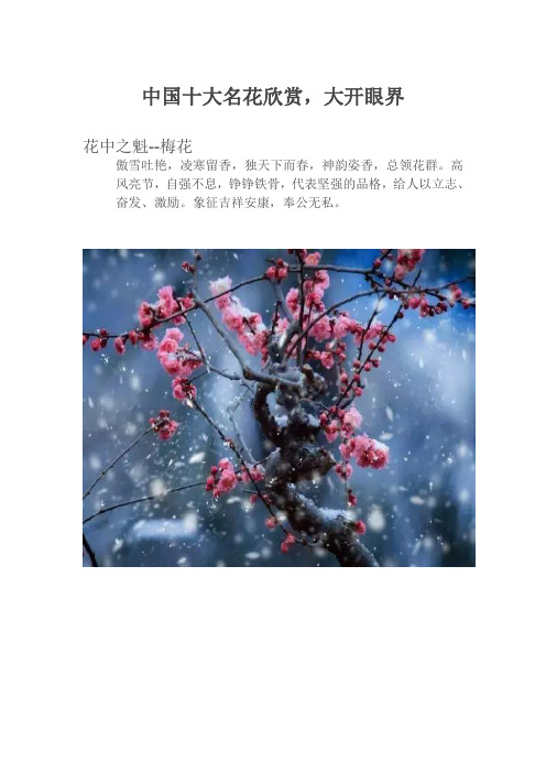 中国十大名花欣赏