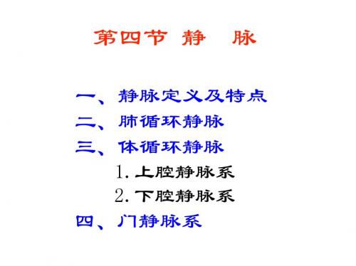 解剖生理脉管3静脉 PPT课件