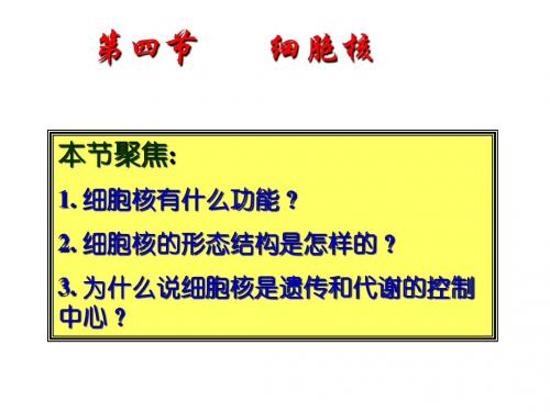 第七课时 细胞核的结构和功能、原核细胞和真核细胞的差别(结构和功能)