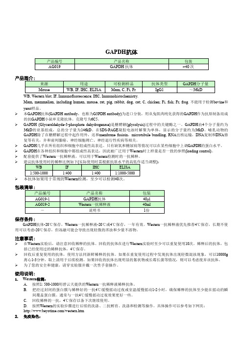 GAPDH抗体说明书
