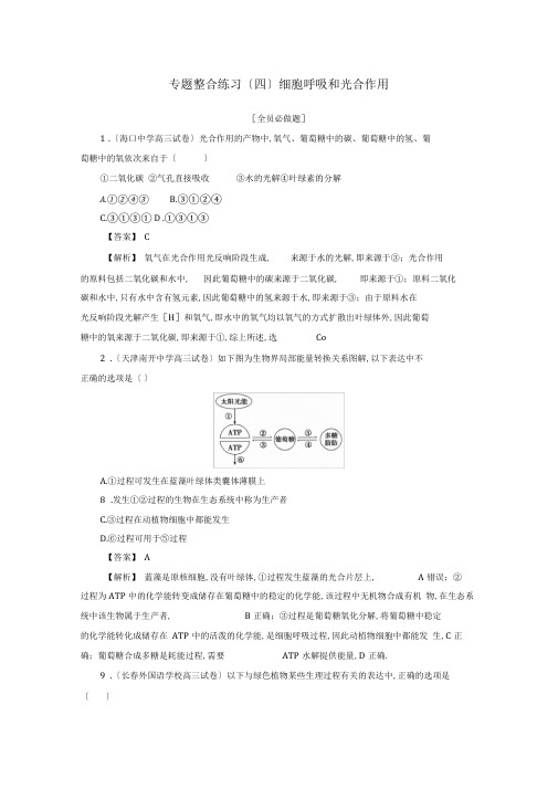 2020版高考生物二轮复习：专题4细胞呼吸和光合作用(含答案)