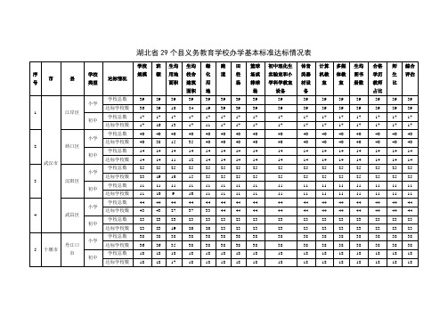 湖北省29个县义务教育学校办学基本标准达标情况表_41927