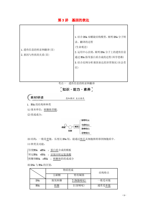 2022届高考生物一轮复习第6单元遗传的分子基础第3讲基因的表达教案新人教版必修2