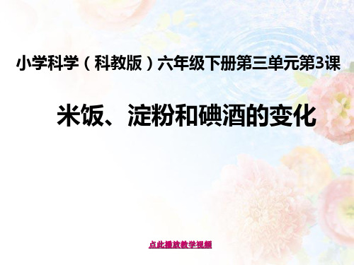 最新科教版小学六年级科学下册《米饭、淀粉和碘酒的变化》精品课件