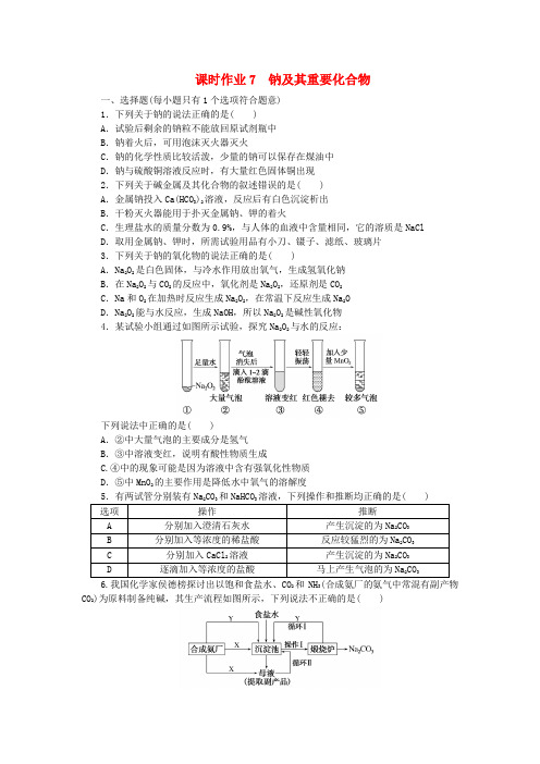 2025版新教材高考化学全程一轮总复习课时作业7钠及其重要化合物