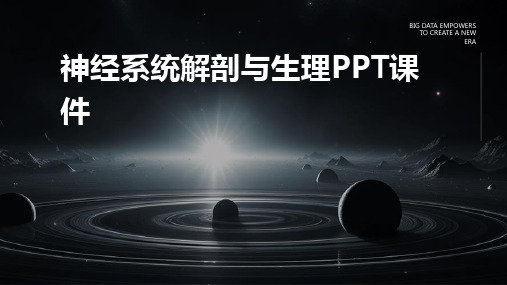 神经系统解剖与生理PPT课件