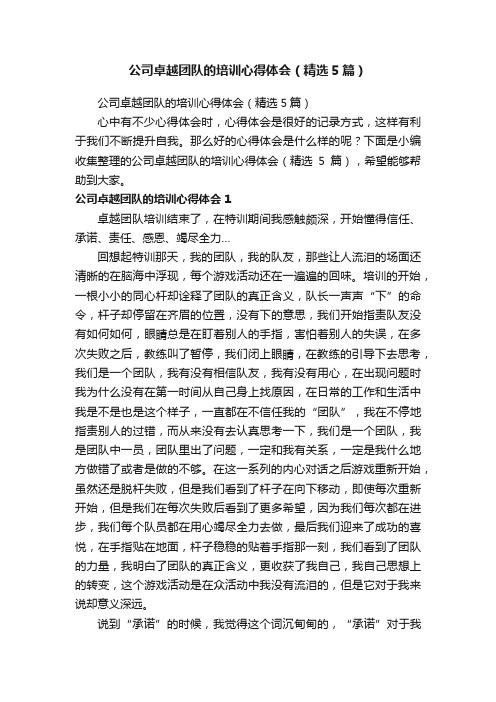 公司卓越团队的培训心得体会（精选5篇）