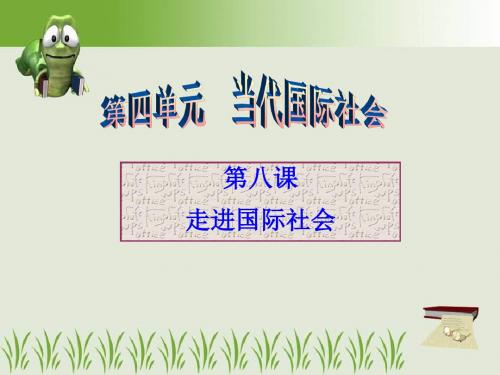 2020高三政治一轮复习课件：政治生活_第四单元第八课_走近国际社会