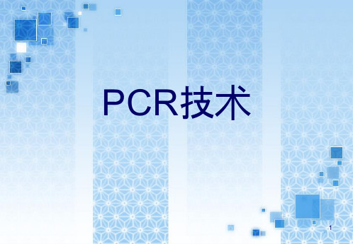 PCR技术概述 PPT课件