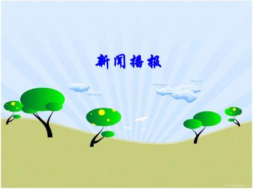 2013年新闻播报