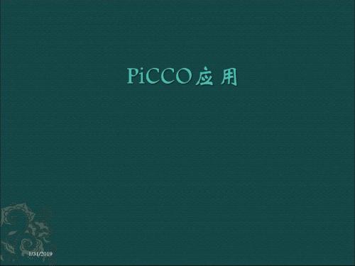 picco应用 ppt课件