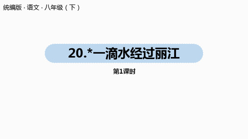 八年级语文部编版下册第20课《一滴水经过丽江》课件5