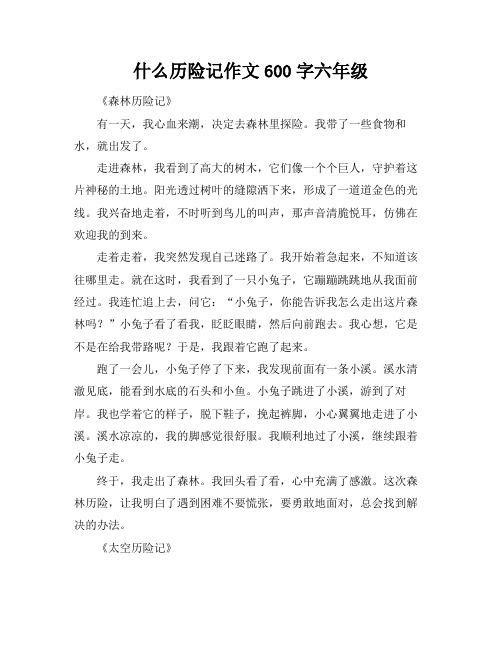 什么历险记作文600字六年级