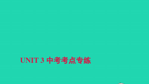 七年级英语上册Unit3中考考点专练习题课件新版人教新目标版ppt