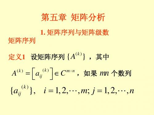 矩阵理论 第五章 矩阵分析