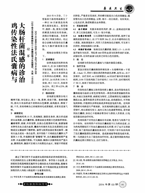 鸡传染性法氏囊病与大肠杆菌混感的诊治