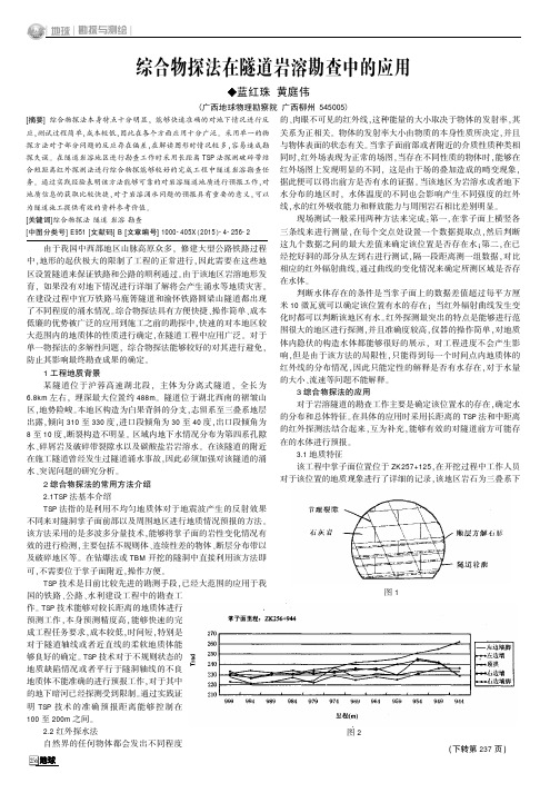 综合物探法在隧道岩溶勘查中的应用
