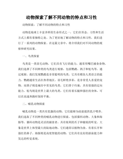 动物探索了解不同动物的特点和习性