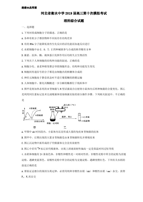 河北省衡水中学2019届高三模拟考试理综试题