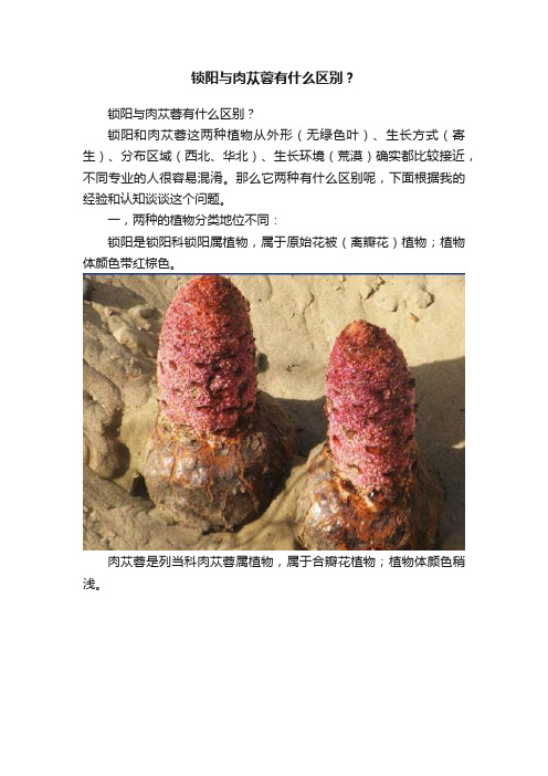 锁阳与肉苁蓉有什么区别？