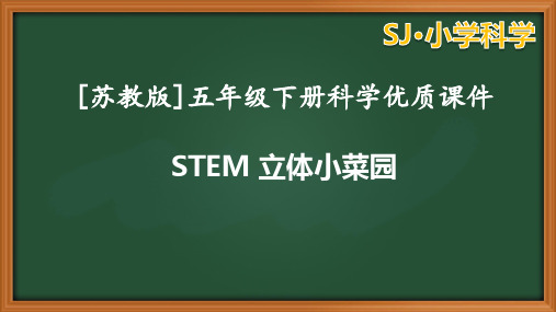 苏教版科学五年级下册17《stem学习立体小菜园》课件