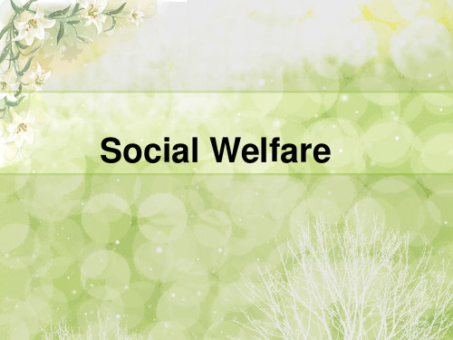 Social-Welfare