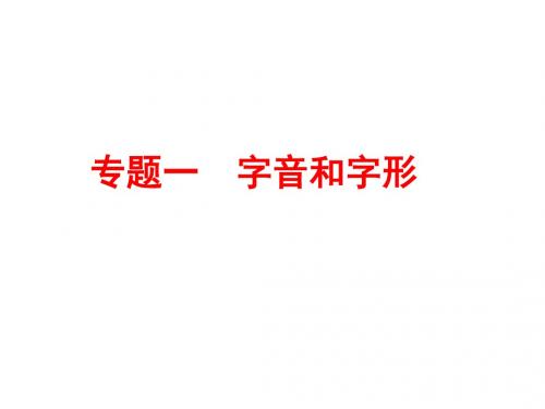 2017年中考语文专题复习一 字音和字形