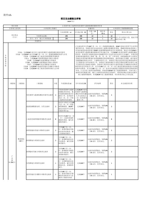 项目支出绩效自评表