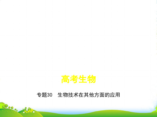 版高考生物(课标版)一轮复习课件：专题30 生物技术在其他方面的应用