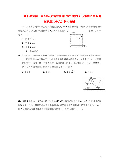 湖北省黄梅一中高三理综(物理部分)下学期适应性训练试