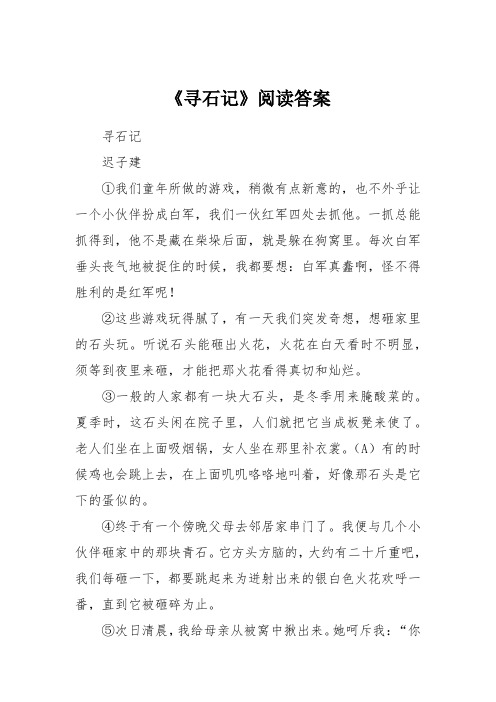 《寻石记》阅读答案